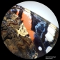 Preview: BRESSER Analyth STR 10x - 40x stereo microscope