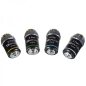 Preview: BRESSER Phase Contrast Set for Science Infinity Microscope