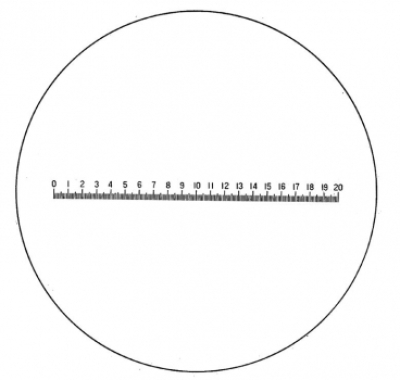Eschenbach measuring scales