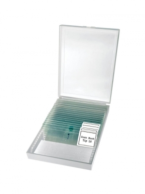 BRESSER Erudit Basic Bino 40x-400x Microscope