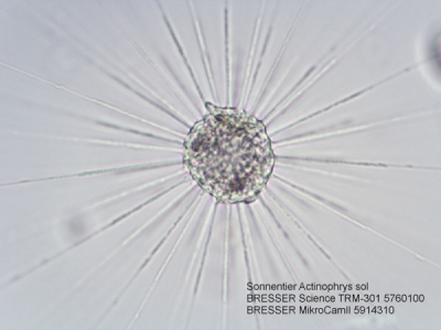 Bresser Science TRM-301, 40x-1000x
