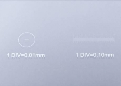 BRESSER Blank Slide with 0.1 & 0.01mm micrometer